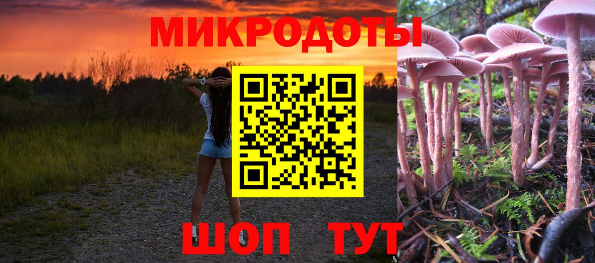 Псилоцибиновые грибы MAGIC MUSHROOMS Зерноград